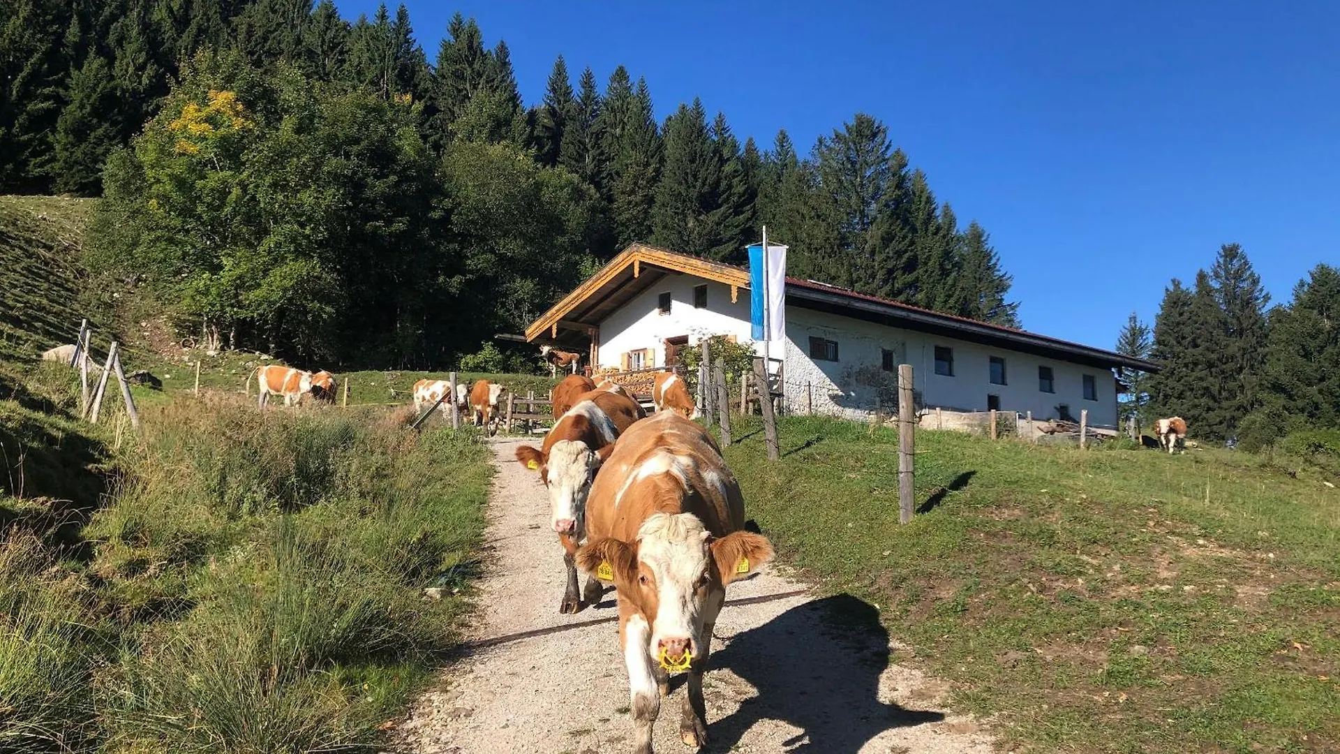 Apartment Ferienwohnung Landhaus Zum Sonnenschein Marquartstein